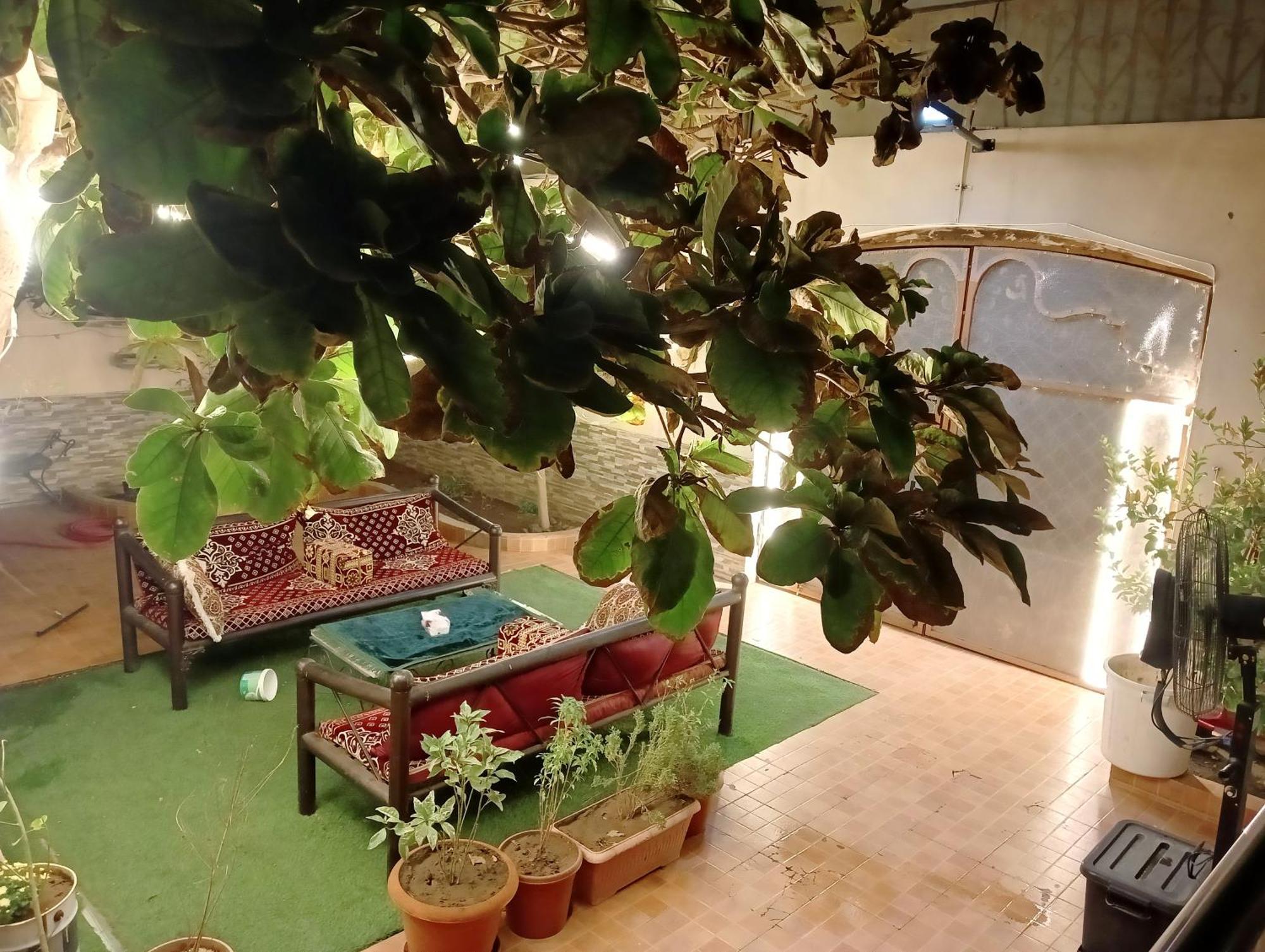 Villa Marmara Medine Dış mekan fotoğraf