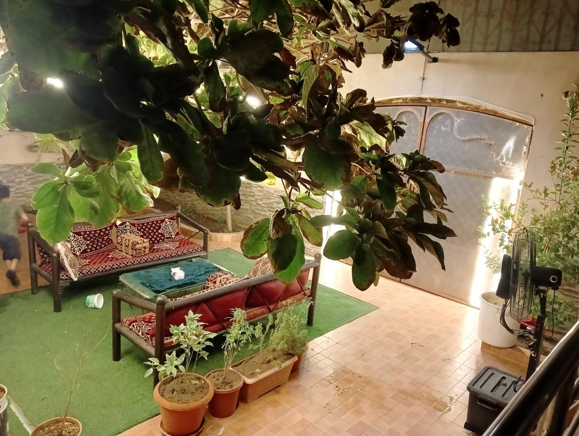 Villa Marmara Medine Dış mekan fotoğraf