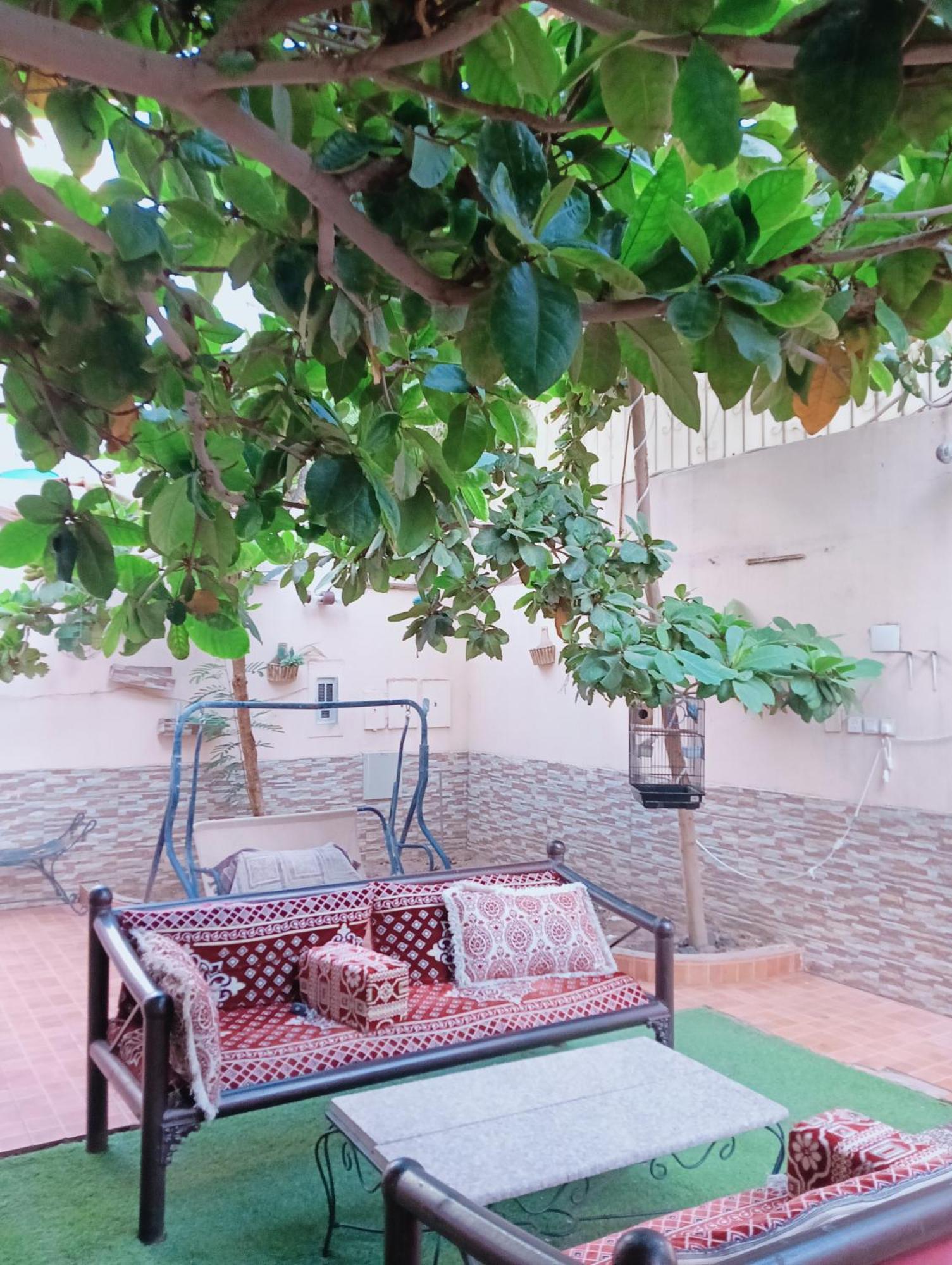 Villa Marmara Medine Dış mekan fotoğraf